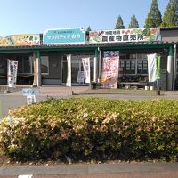 ひまわりの丘公園