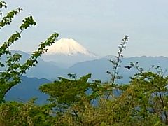 2017.新緑の高尾山