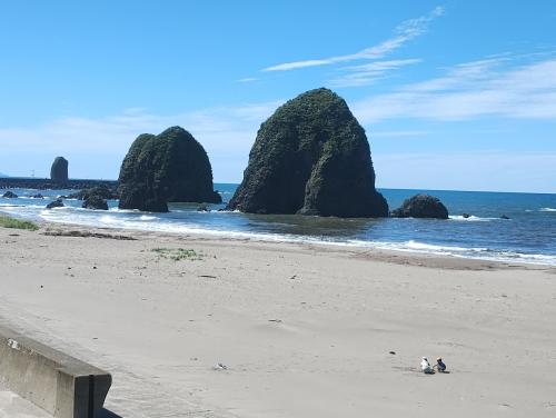 フェリーで行く南北海道の旅２　日本海追分ソーランラインを走り積丹、小樽へ　フェリーで新潟港へ