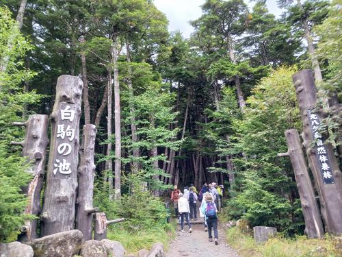 日本一高い湖八ヶ岳「白駒の池」とアートの源泉・鏡のような「御射鹿池」日帰り