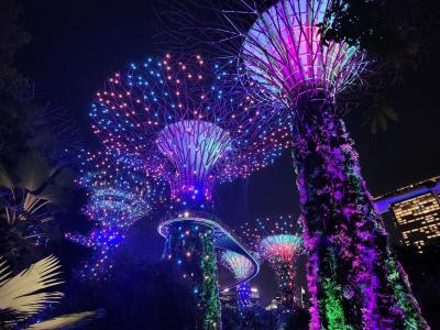 ５年ぶりのシンガポール。滞在33時間。定番観光地めぐりしました。