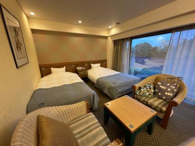 本日は帯広の北海道ホテルに宿泊。床まである広い窓のツインです。