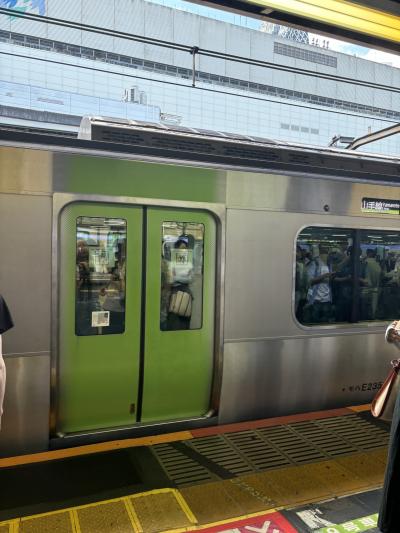 最寄駅から小田急線で新宿駅まで出ました。JR山手線に乗り換え品川駅を目指します。そこそこ混んでいました。
