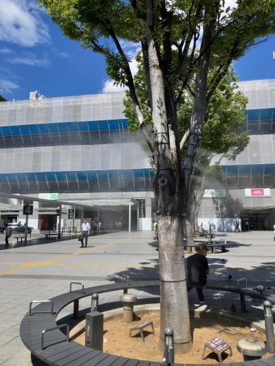 駅前広場のベンチでミスト発生中。涼しい～