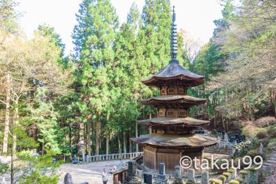安楽寺八角三重塔（国宝）