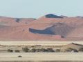dune45さん 写真